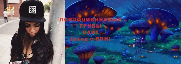 стаф Магадан