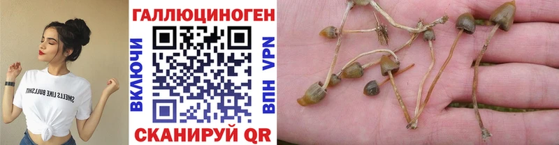 Псилоцибиновые грибы GOLDEN TEACHER  Назрань 