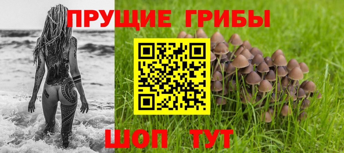 Галлюциногенные грибы Psilocybe Назрань