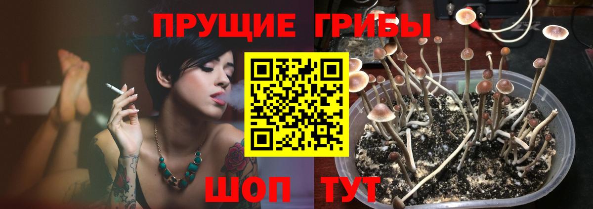 Псилоцибиновые грибы ЛСД  Вход с VPN  Назрань 